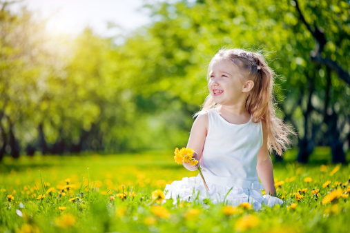 Little girl sitting on a field of dandelions and picking up flowers in a sunny afternoon