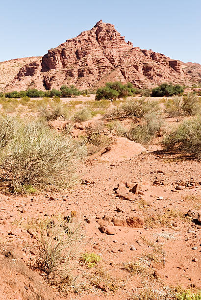 istock Landscape Talampaya National Park 185126068