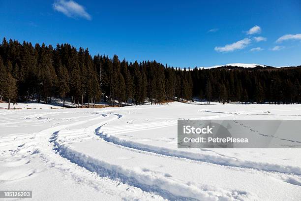 Schneemobilpfade Im Schnee Mountain Landschaft Stockfoto und mehr Bilder von Alpen - Alpen, Berg, Blau