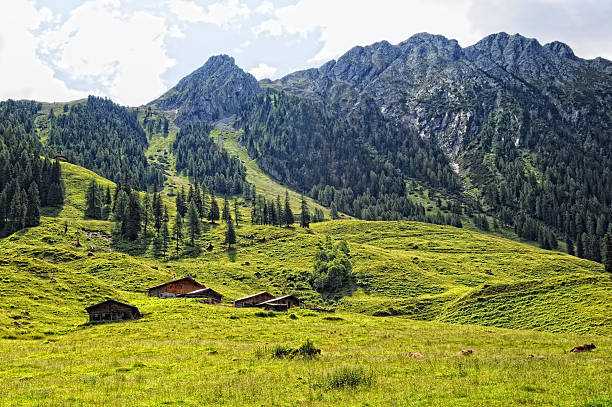 HDR images of farm at Schoenach Valley in Tirol (Austria). In front farm with cows on meadow. in background high European Alps mountains covered with snow.