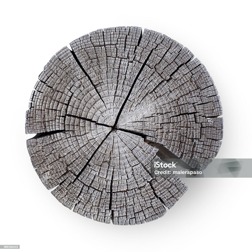 Sezione trasversale di legno - Foto stock royalty-free di Anello di albero