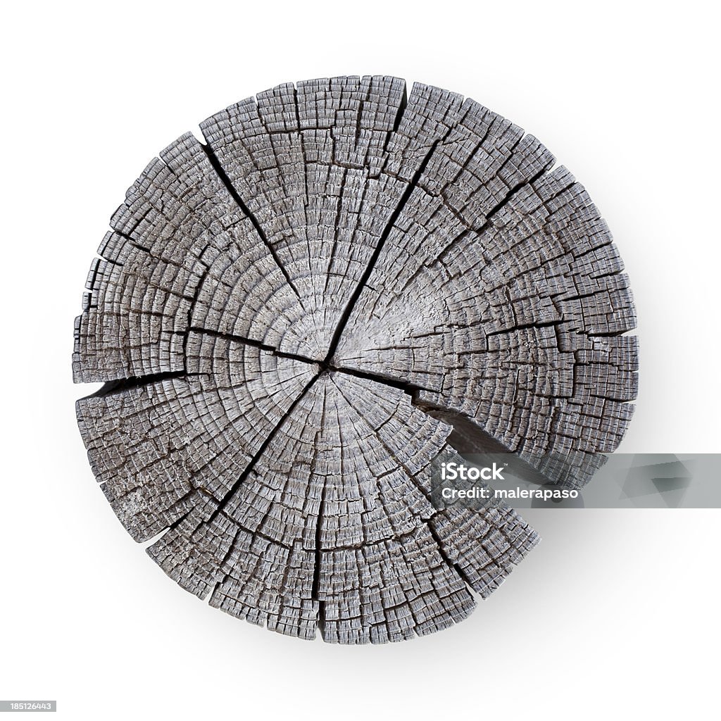 Drewniany Przekrój poprzeczny - Zbiór zdjęć royalty-free (Pierścień wzrostu drzewa)