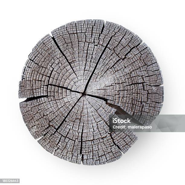 Drewniany Przekrój Poprzeczny - zdjęcia stockowe i więcej obrazów Pierścień wzrostu drzewa - Pierścień wzrostu drzewa, Przekrój poprzeczny, Drzewo