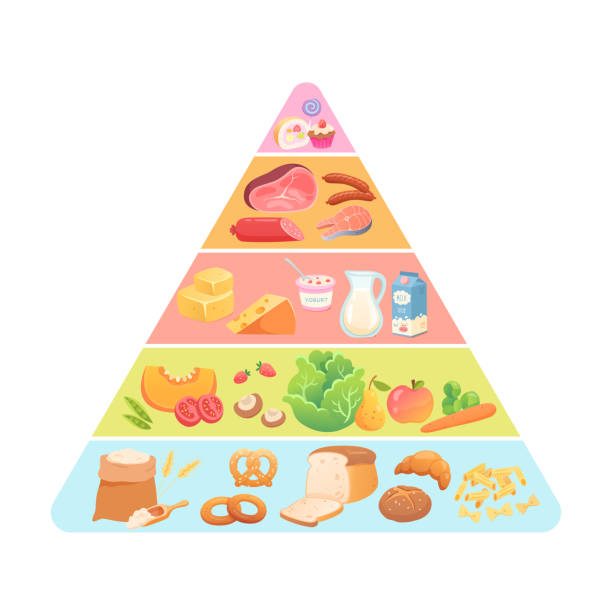 istock Food healthy pyramid vector illustration. Nutrition infographic. Diet guide. Recommendations for healthy lifestyle. Meals guideline. Colorful food, meat, fruit, vegetables icon set 1851266560