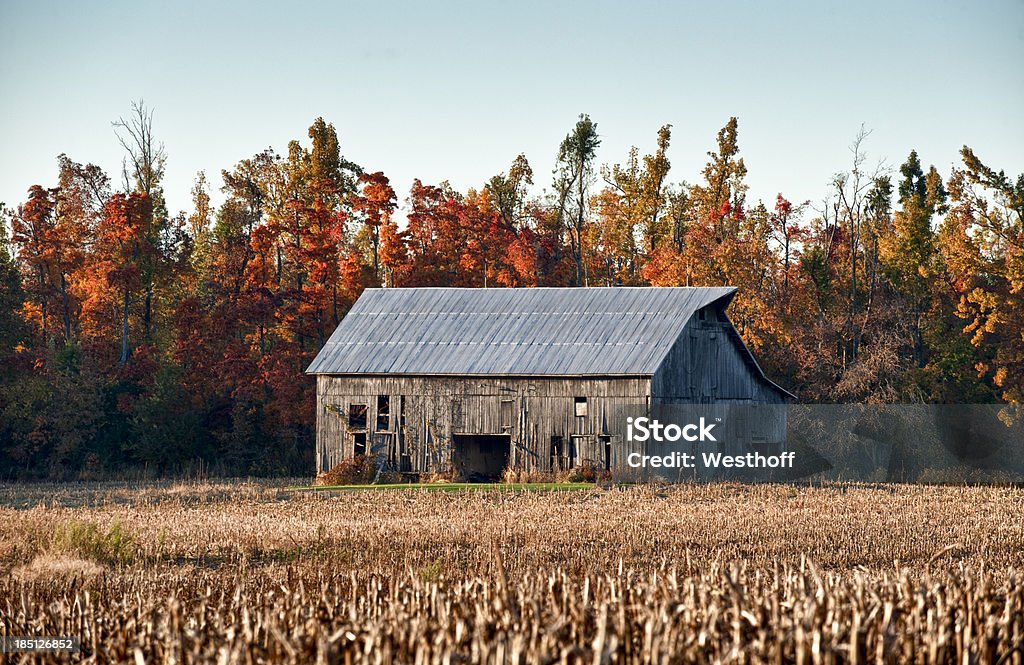 Autunno Barn - Foto stock royalty-free di Agricoltura