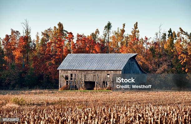 Autunno Barn - Fotografie stock e altre immagini di Agricoltura - Agricoltura, Asciugare, Autunno