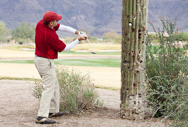 пакет услуг «golfer ударяя мяч для гольфа в дерево - conquering adversity adversity plant desert стоковые фото и изображения