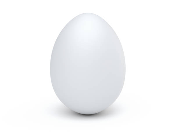 isolated egg - ägg bildbanksfoton och bilder