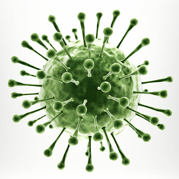 изолированные зеленый вирус - bacterium magnification high scale magnification green стоковые фото и изображения