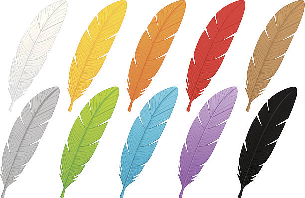 illustrations, cliparts, dessins animés et icônes de multicolore de plumes - variety