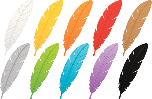 Multi-colored Feathers