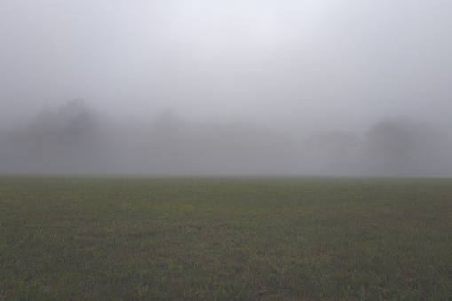 Fogs over the meadow at morning