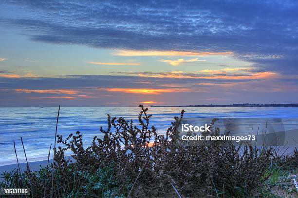 Sandgrass Against Amazing Sunset Stock Photo - Download Image Now - Beach, Beauty In Nature, Blue