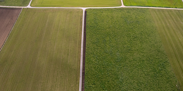 Aerial view over lush agricultural fields in the small farmer village of Bühl in \