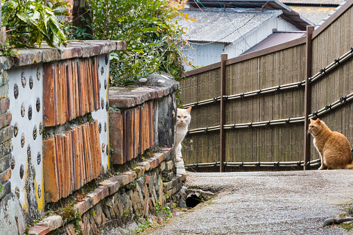The Seto Kiln Walls are a series of walls and stone walls made of kiln tools in Seto City, Aichi Prefecture.Kiln walls were built during the Edo and Meiji periods, along with the development of the Seto ceramics industry.