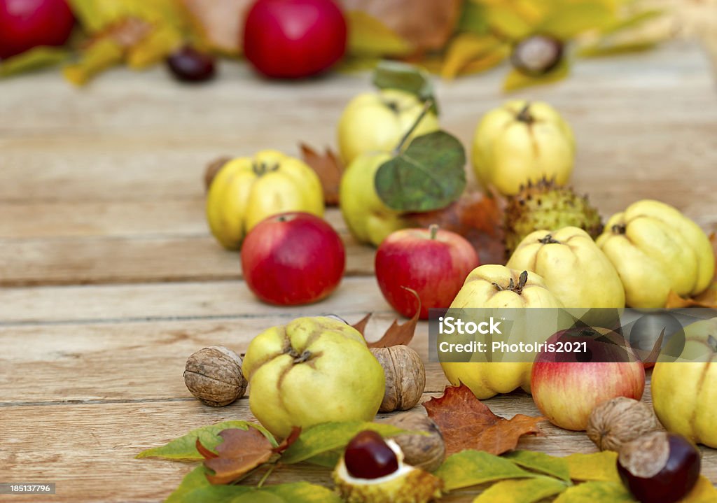 Herbst-Ernte Obst - Lizenzfrei Apfel Stock-Foto