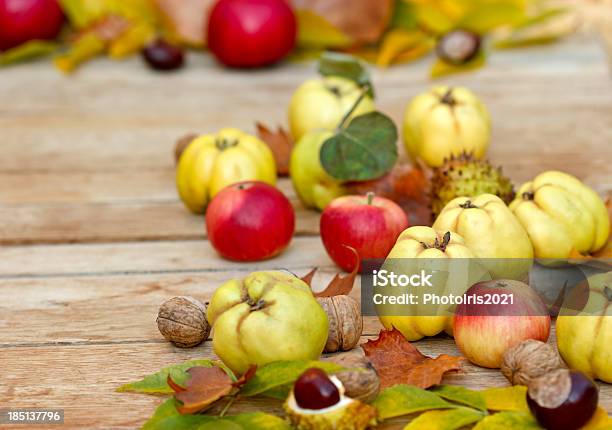 Herbsternte Obst Stockfoto und mehr Bilder von Apfel - Apfel, Blatt - Pflanzenbestandteile, Bunt - Farbton