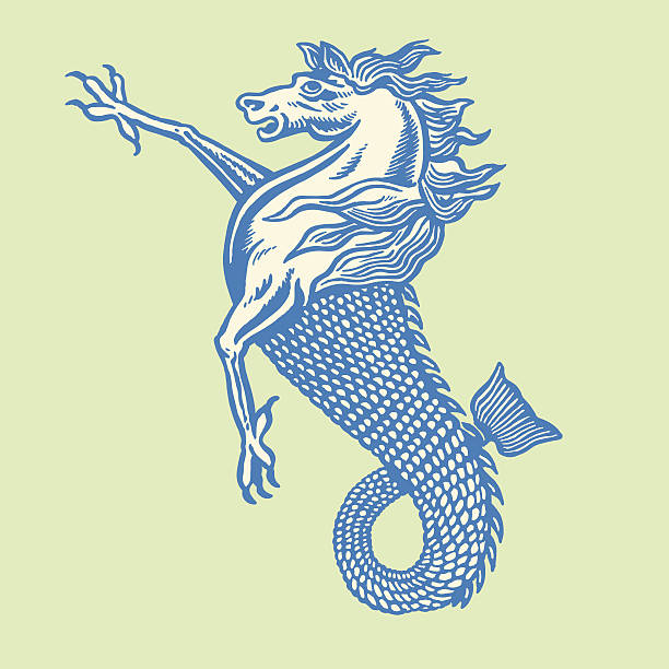 Bird Horse And Fish Hybrid Stock Illustration - Download Image Now -  Mythology, Genetic Modification, Animal - iStock