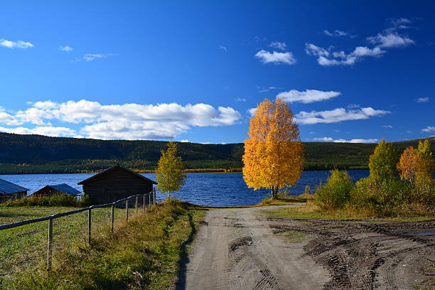 Autumn lake Autumn in it's full pride in swedish Klovsjo. betula utilis stock pictures, royalty-free photos & images
