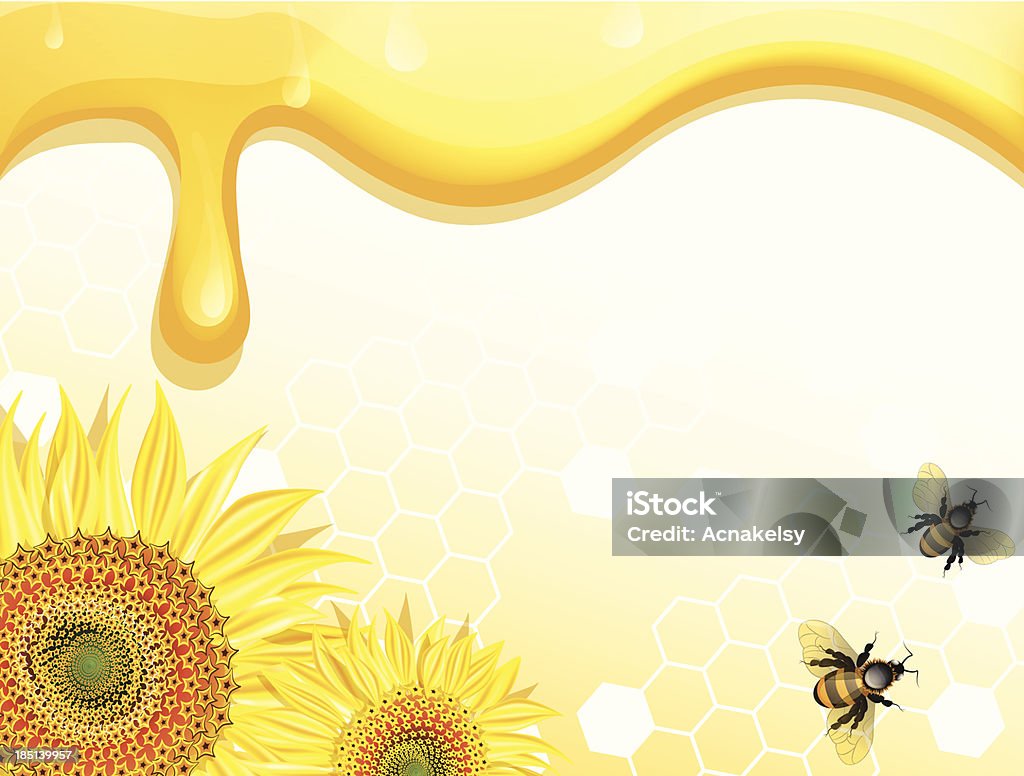 Sunflowers and bees on honey background Sunflowers and bees on honey background, file Eps (10) Agriculture stock vector