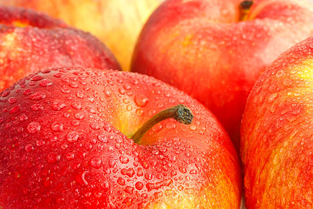 red apples stock photo