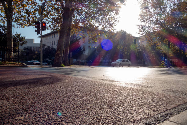 istock Crosswalk in evening light, reverse light. No people. Traffic lamp. Crossroads. 1851467575