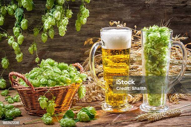 Lúpulo E Colheita De Trigo Para Frescas Caseiras De Cerveja - Fotografias de stock e mais imagens de Amarelo