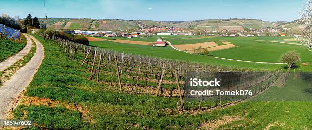 Randersacker И Виноградник — стоковые фотографии и другие картинки Бавария - Бавария, Без людей, Весна