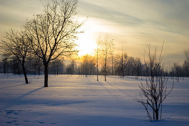 Sunset over the field.