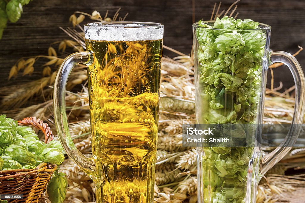ゴールドの耳の新鮮なビールとホップ - お祝い��のロイヤリティフリーストックフォト