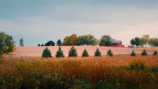 A scenic view of Midwest country farmland in Union, IL during autumn harvest
