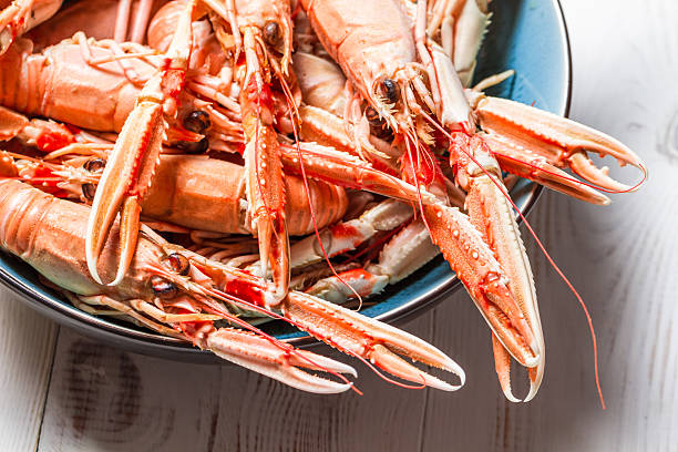 istock Closeup of cooked scampi with pincers 185157784