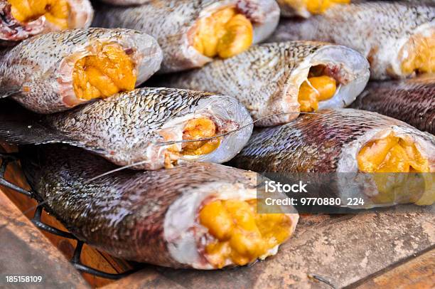 Secado Fishs De Comida Local En El Mercado Abierto De Cerca Foto de stock y más banco de imágenes de Abrir en abanico