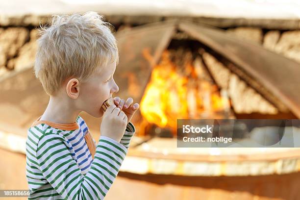 Niño Comiendo Smores Foto de stock y más banco de imágenes de Niño - Niño, Smore, Asado - Alimento cocinado