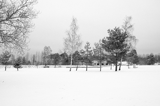Tranquil winter scene of a snow-covered landscape in Liepaja, Latvia.