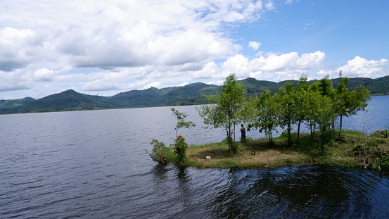 Calm river in the forest in sunny day