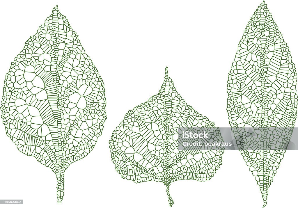 silhouettes de feuilles vertes, vector set - clipart vectoriel de Nervure libre de droits