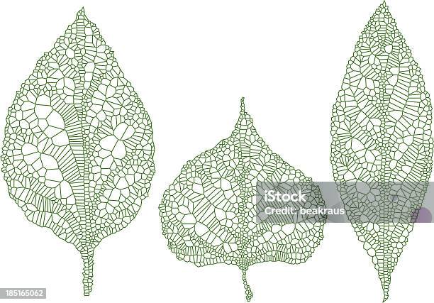 Silhouettes De Feuilles Vertes Vector Set Vecteurs libres de droits et plus d'images vectorielles de Nervure - Nervure, Automne, Blanc