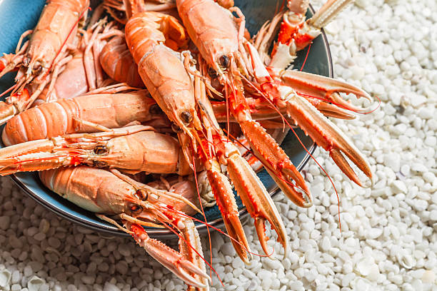 istock Fresh seafood straight from the sea 185165495