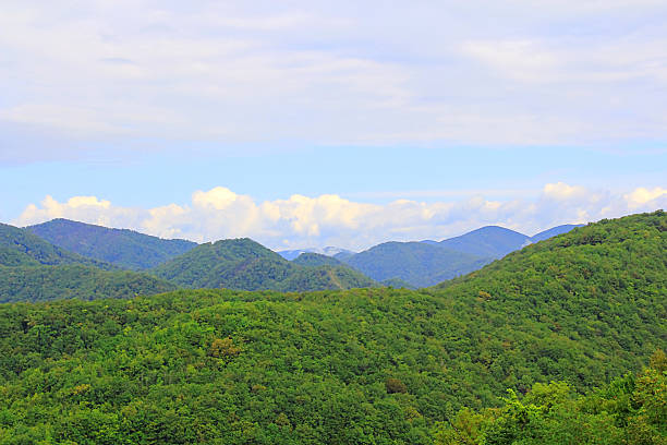 istock Summer landscape with Caucasus green mountains 185166085