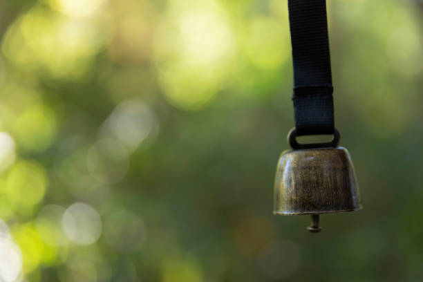 Chinese knot pendant, with seeds tied underneath and words of blessing or auspiciousness written on the seeds, traditional oriental handicraft