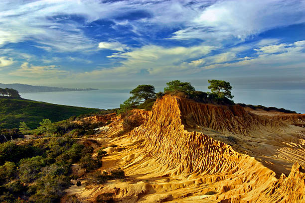 broken hill, torrey pines state reserve, san diego, kalifornia - torrey pines state reserve zdjęcia i obrazy z banku zdjęć