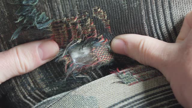 Check for damage to fabric upholstery. Close inspection of hole.