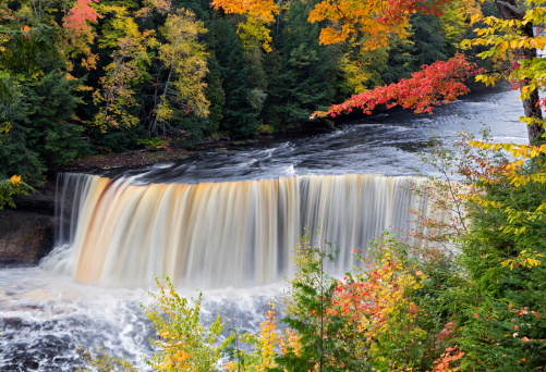 Tahquamenon Falls in Michigan's eastern Upper Peninsula is seen with colorful fall foliage. This beautiful waterfall is said to be the second largest in the United States east of the Mississippi River.