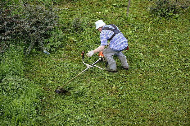 istock Gardener with lawn mower 185179201
