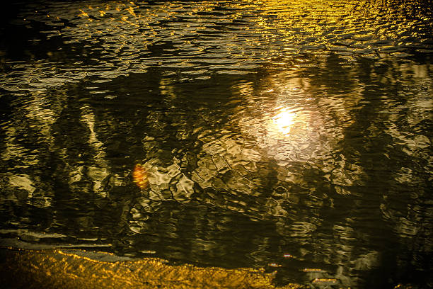 Evening sun on the sea.