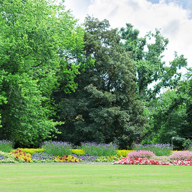 istock flowerbeds in the park 185180685