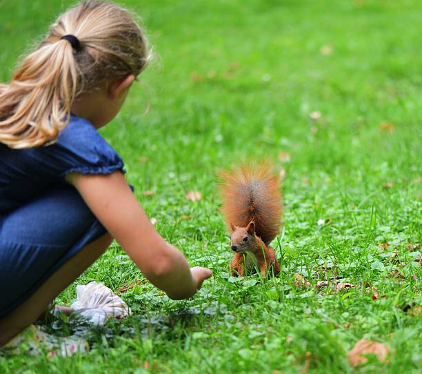 istock Girl feeding a squirrel. 185182795