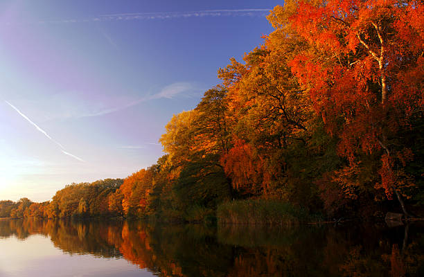 istock lake and forest in the autumn 185182913