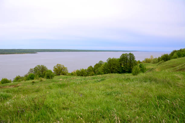 river bank with green hill and trees copy space